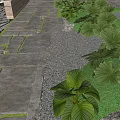 Outdoor Stone Path With Lush Green Plants And Gravel Borders