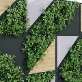 Modern Geometric Living Wall with Green Foliage Wooden Panels and Black Frames