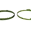 Lush Arbor Trees Creating Circular Natural Landscape With Green Grass And Foliage