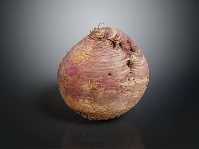 Fresh Organic Beetroot Vegetable With Textured Purple Brown Skin Isolated On Dark Background 3d model