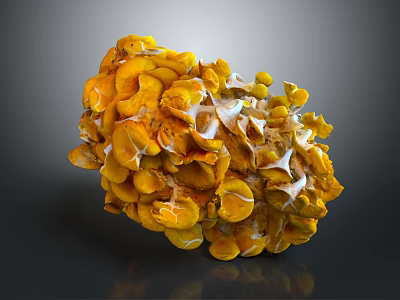 Organic Yellow Vegetable with Cluster of Vibrant Petal Like Segments and Fresh Texture 3d model