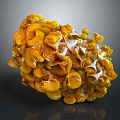 Organic Yellow Vegetable with Cluster of Vibrant Petal Like Segments and Fresh Texture