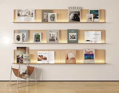 Modern Bookshelf Books and Magazines 3d model