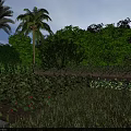 Tropical Garden Landscape With Palm Trees Lush Green Trees Bushes And Neat Lawn