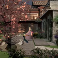 Serene Garden Courtyard With Stone Wall Vines Potted Plants And Pathway