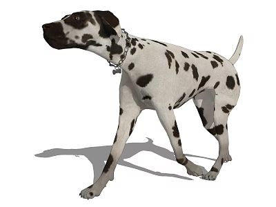 Colorful Bearded Dragon Exploring Sandy Habitat With Sunlight Exposure 3d model