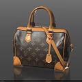 Sorry, the picture mainly shows a handbag and does not contain food-related information, so it is impossible to generate an English title with "food" as the main body based on the picture.