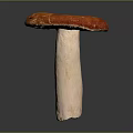 Fresh Red Capped Mushroom With White Stem On Dark Background