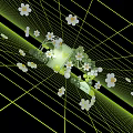 Abstract Stage Design with Green Line Grid White Small Flowers on Black Background