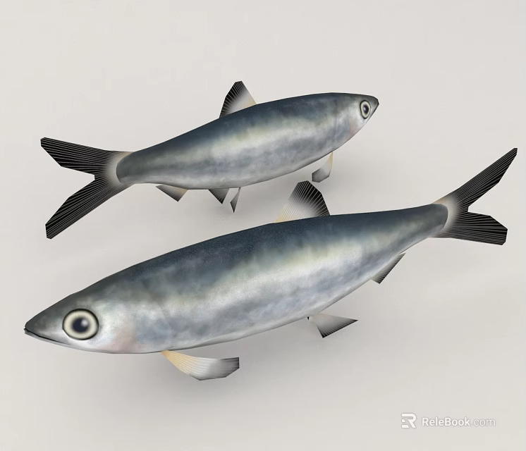 Two Silver Aquatic Fish With Black Tails And Large Eyes In Light Background 3d model 