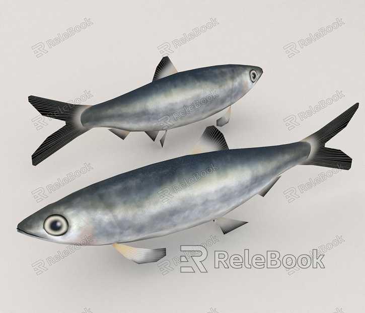 Sardines model