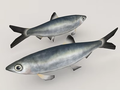 Two Silver Aquatic Fish With Black Tails And Large Eyes In Light Background 3d model