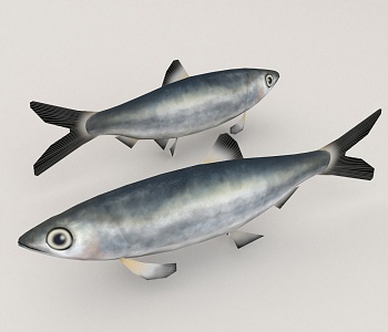 Sardines 3d model