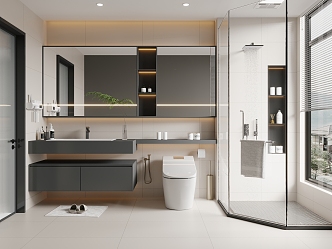 Modern Toilet Bathroom Cabinet Wet and Dry Separated Toilet 3d model