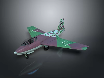 Space Aviation Model Aircraft With Green Purple Camouflage And Cross Symbols Design 3d model