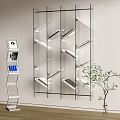Modern Glass Wall Mounted Bookcase With Multiple Shelves And Green Plant