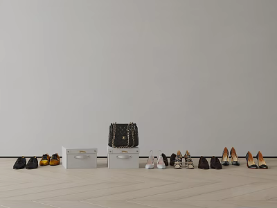 Various Styles Of Shoes With Black Handbag And White Boxes On Light Wooden Floor 3d model