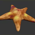 Colorful Starfish with Orange Yellow and Purple Spots and Honeycomb Texture on Dark Reflective Surface