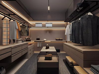 Modern Walk in Closet Interior Design With Hanging Clothes Drawers And Recessed Lighting 3d model