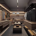 Modern Walk in Closet Interior Design With Hanging Clothes Drawers And Recessed Lighting
