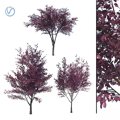 Modern jewelry ornaments combination cherry plum tree viewing 3d model