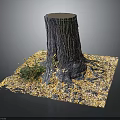 Wooden Tree Stump on Stone Platform with Fallen Leaves and Small Plants