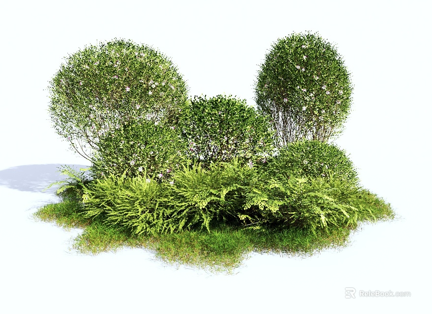 Green Round Shaped Bushes With Fresh Ferns And Lush Grass Surroundings 3d model 