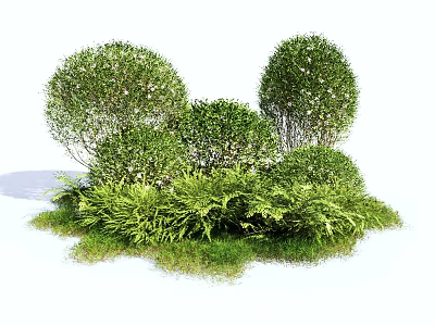 Green Round Shaped Bushes With Fresh Ferns And Lush Grass Surroundings 3d model