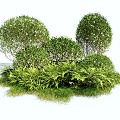 Modern Shrubs Shrubs Green Planting Shrubs Plants Pile Landscape Trees 3d model