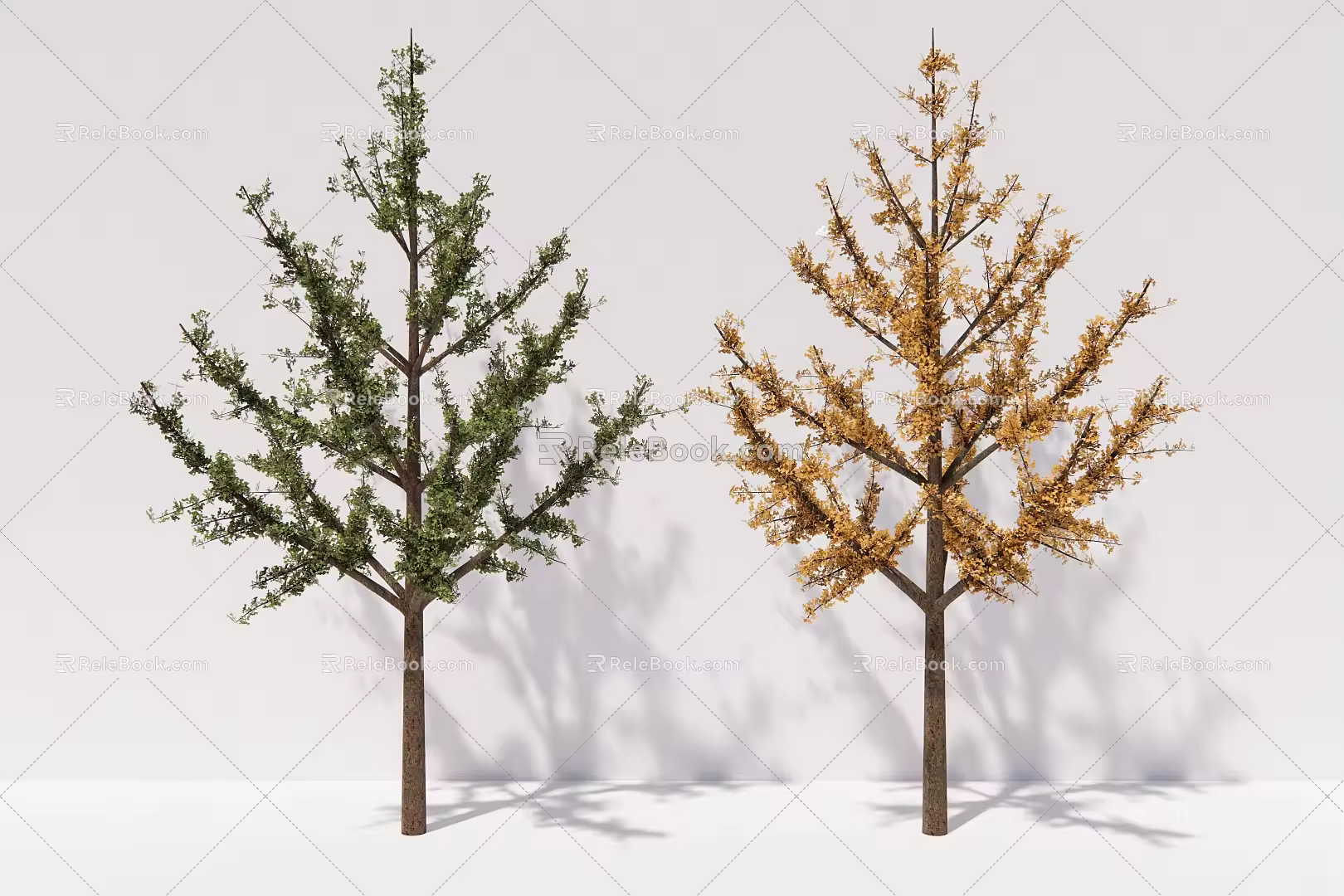 modern tree ginkgo tree arbor plant 3d model