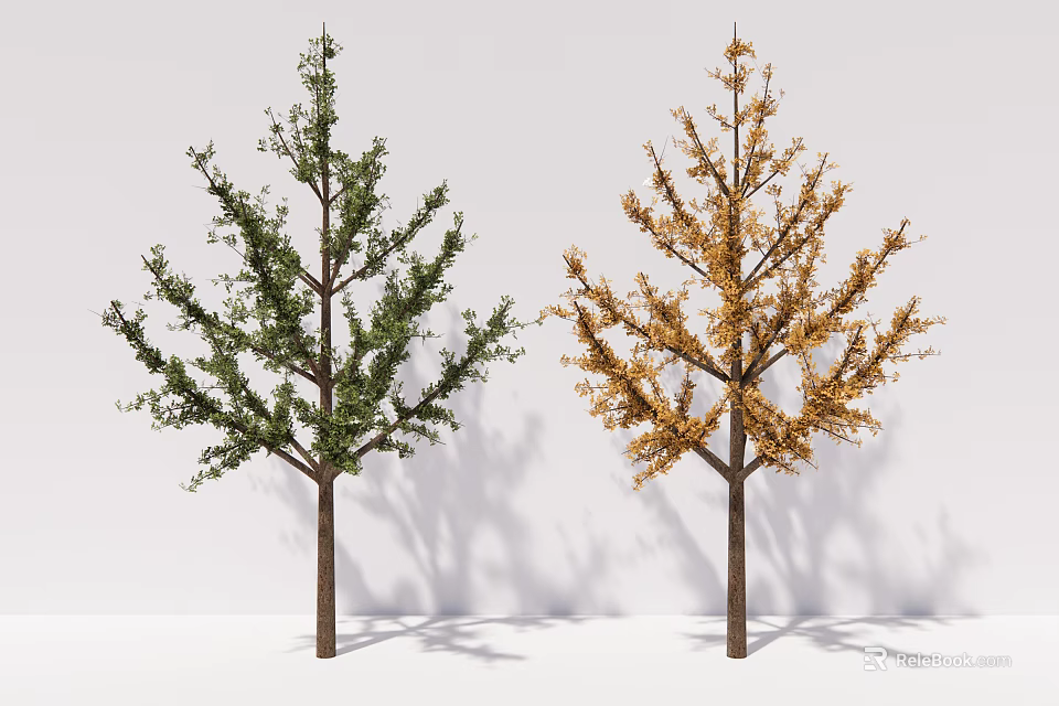Two Arbor Trees Featuring Green And Yellow Foliage Against White Background With Shadows 3d model 