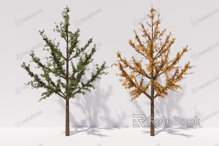 modern tree ginkgo tree arbor plant model