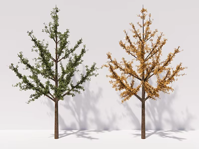 Two Arbor Trees Featuring Green And Yellow Foliage Against White Background With Shadows 3d model
