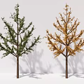 modern tree ginkgo tree arbor plant 3d model