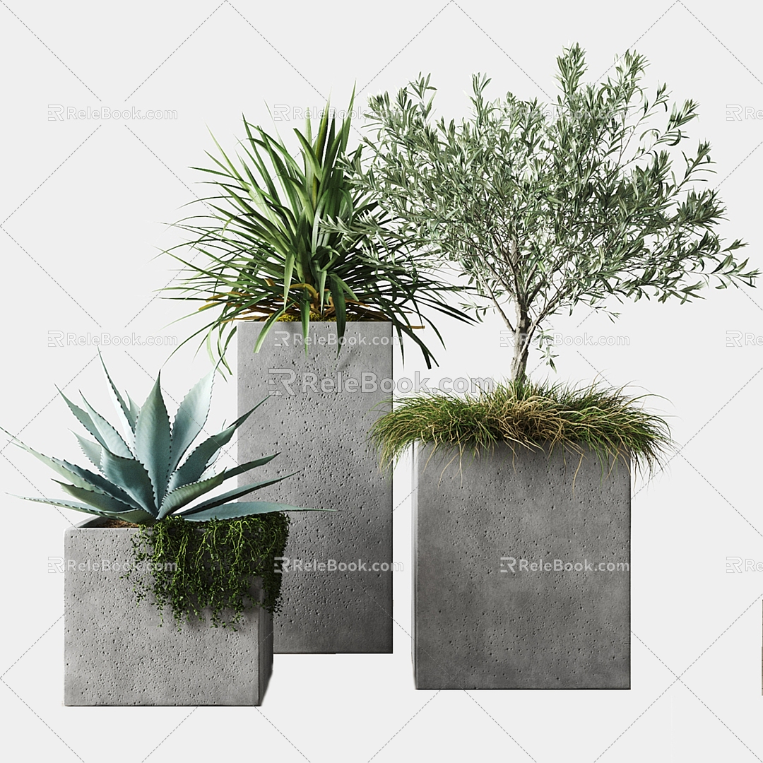 Outdoor plants in pots in modern pottery barns 3d model