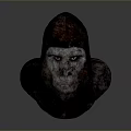 Detailed Gorilla Head 3D Model With Realistic Fur And Textures