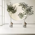 Bonsai Potted Plants in Indoor White Room with Round Mirror Light Ceramic Pots Metal Stands