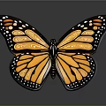 Monarch Butterfly With Orange And Black Wings And White Spots On Gray Background