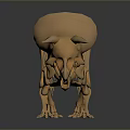 Detailed Triceratops Skeleton 3D Model of Prehistoric Dinosaur with Anatomical Structure