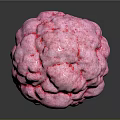 Pink Human Organ With Hairy Surface And Textured Structure On Dark Background