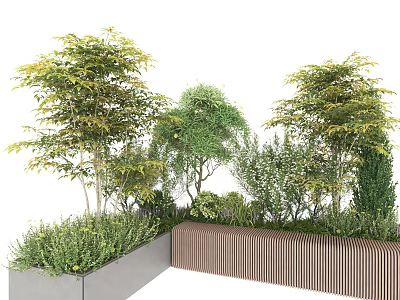 Various Green and Yellow Leaf Shrubs in Concrete and Wooden Garden Planters 3d model