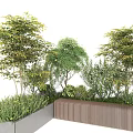 Various Green and Yellow Leaf Shrubs in Concrete and Wooden Garden Planters