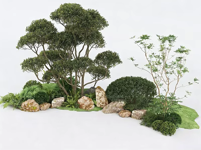 Natural Garden Plant Combination With Various Trees Shrubs Rocks And Greenery 3d model