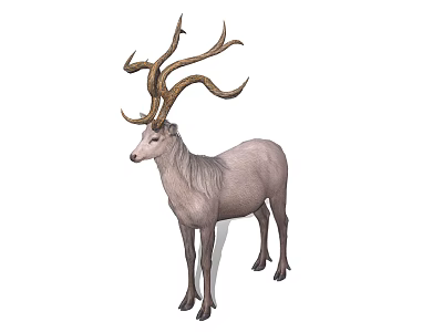 Detailed Light Colored Deer With Large Curved Antlers Standing Gracefully 3d model