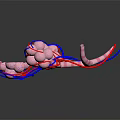 3D Medical Device Anatomical Model Featuring Pink Cellular Structures And Colored Vessels 3d model