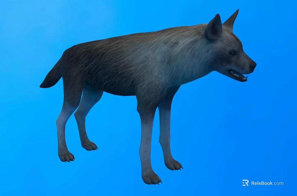 Realistic 3D Reptile Model with Blue Background and Detailed Skin Texture 3d model 