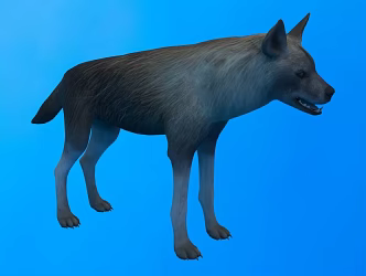 brown hyena animal creature brown hyena 3d model
