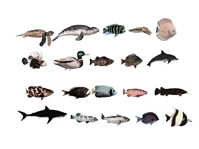 Collection of Diverse Aquatic Animals Featuring Turtles Seals Dolphins Sharks and Fish 3d model