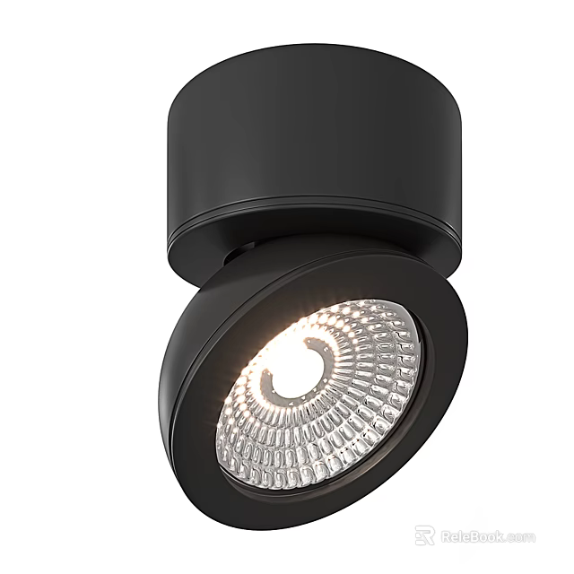 Modern Black Downlight Spotlight With Adjustable Angle For Ceiling Indoor Lighting 3d model 