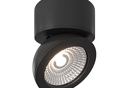 Modern Black Downlight Spotlight With Adjustable Angle For Ceiling Indoor Lighting 3d model